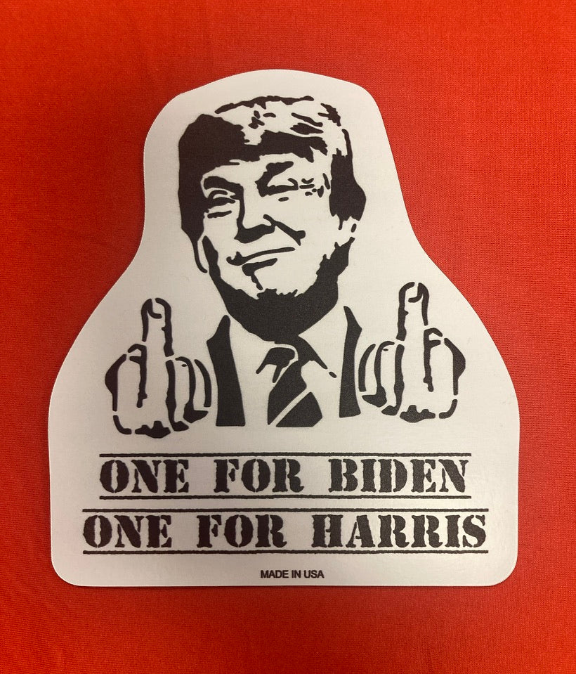 Biden Car Magnet