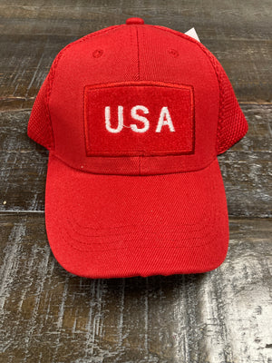 Trump/USA Hat (2 Color Variations)